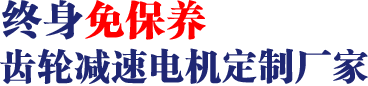 17年專注齒輪減速馬達(dá)、調(diào)速電機(jī)研發(fā)、生產(chǎn)